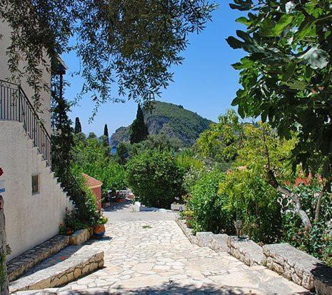 Villa Fiorita Paleokastritsa Eksteriør billede